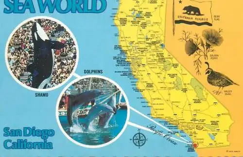 Postcard United States > CA - California San Diego Sea World