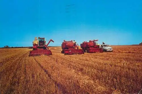 Postcard Canada Harvest time in Saskatchewan