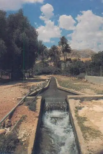 Postcard Israel Jericho Elisha Spring