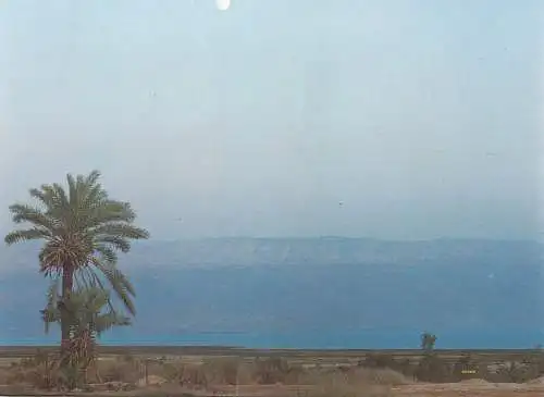 Postcard Israel Jericho the dead sea