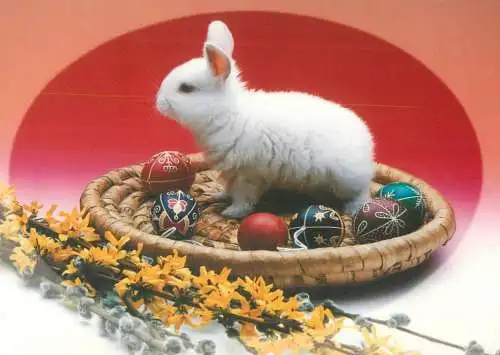 Easter greetings pencilled eggs, bunny and flowery willow branch