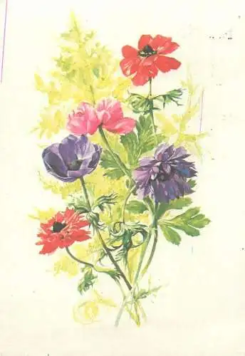Wild flora colourful bouquet Gonda Rezs drawing