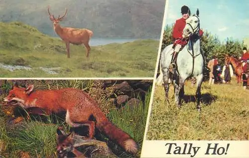 Postcard United Kingdom > England St. Ives Huntingdon Cambs fox hunt uniform