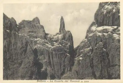 Postcard Italy Belluno la gusella del Vescova