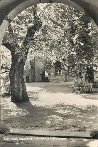 Germany Lutherstadt Wittenberg Im Hof des Lutherhaus