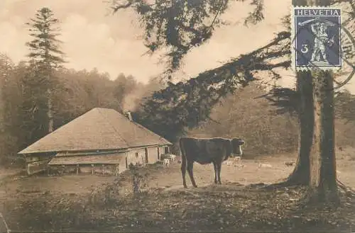 Postcard Switzerland rural landscape cow and cottage