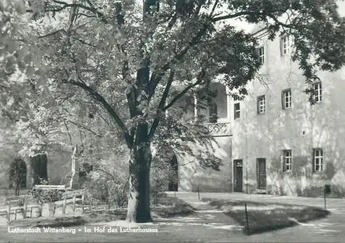 Germany Lutherstadt Wittenberg Im Hof des Lutherhauses