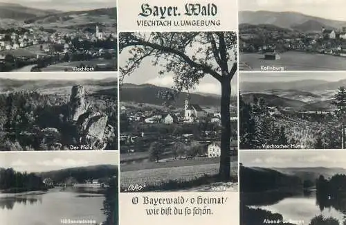 Postcard Germany Bayer Wald Viechtach U. Umgebung multi view