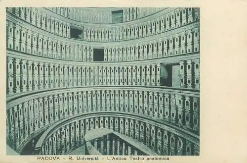Postcard Italy Padova R. Universita l'Antico teatro anatomico