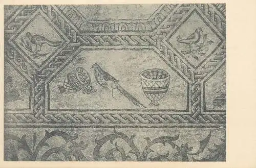 Postcard Italy Aquileia mosaico della Basilica di Teodoro