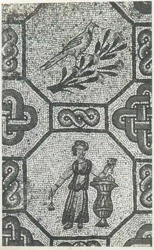 Postcard Italy Aquileia Basilica Mosaico Teodoliano