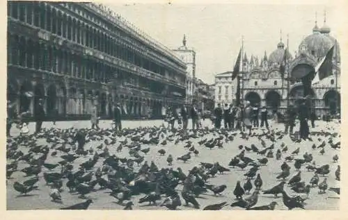 Postcard Italy > Veneto > Venezia (Venice) Piccioni e Basilica S. Marco
