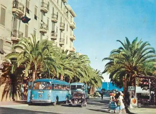 Italy Alassio Savona area palm trees