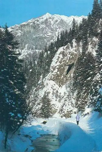 Poland West Tatra Mountains winter mountain scenery