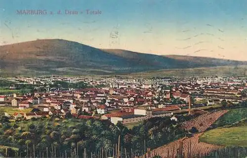 Postcard Austria Marburg a d Drau panorama