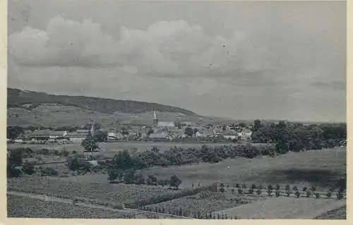 Germany Deidesheim an der Weinstrasse general view