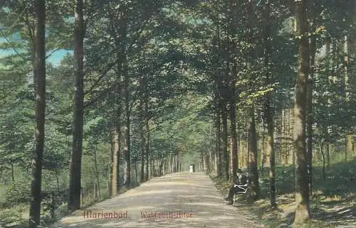 Postcard Czech Republic Mariánské Lázně