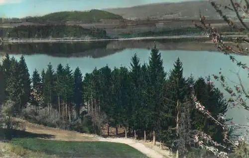 Postcard France Isere Lac de Paladru-Charavines le bois d'amour