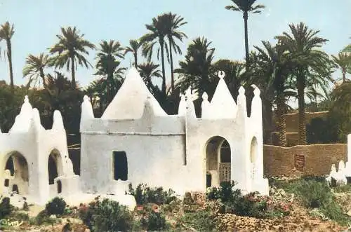 Postcard Africa mausolees dans le Sud Algerien