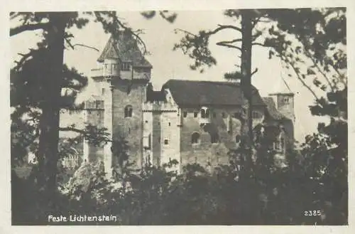 Lichtenstein fortress