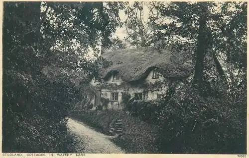 Postcard UK England Studland village cottages in Watery Lane