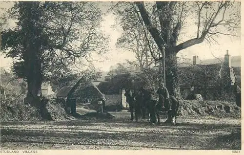 Postcard UK England Studland village