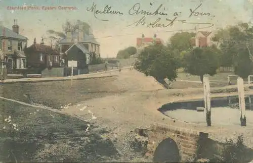 Postcard UK England Stamford pond Epsom Common 1905
