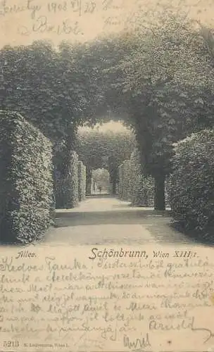 Austria Wien Schonbrunn Park-Allee