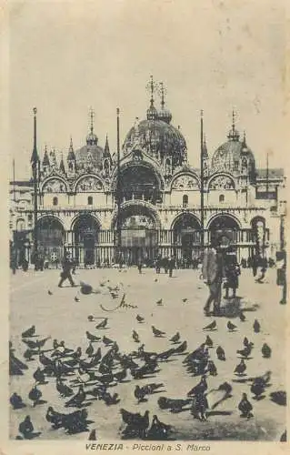Italy Venezia pigeons in Piazza S Marco