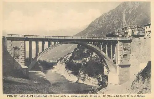 Postcard Italy Belluno ponte nelle Alpi