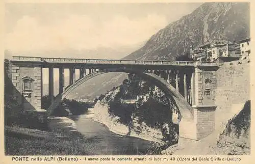 Postcard Italy Belluno ponte nelle Alpi