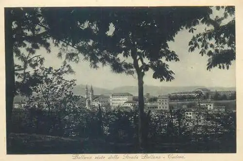 Postcard Italy Belluno visto dalla Strada