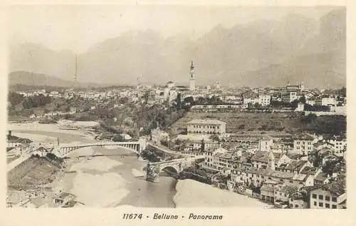 Postcard Italy Belluno panorama