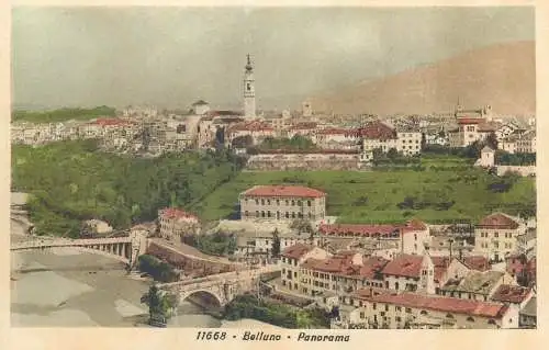 Postcard Italy Belluno panorama
