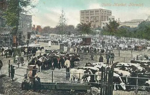 Postcard UK England Norwich cattle market