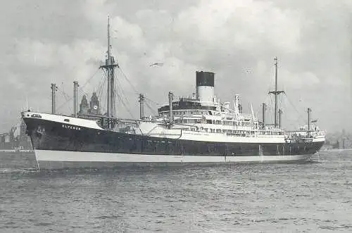 Harold Jordan's Postcard M.V. "Elpenor" Blue Funnel Line China Mutual Steam Navigation Co. Ltd.