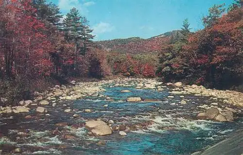 USA river bed picturesque natural landscape place to identify