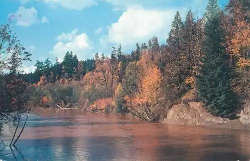 USA river scenery stream scene picturesque natural landscape place to identify