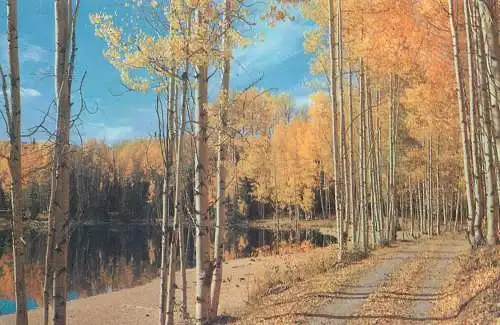 USA "Deep in the Forest 'neath cool Shadows Hidden" autumn colours place to identify