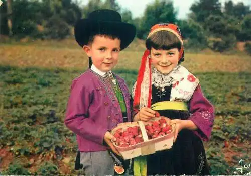 France Bretagene Plougastel-Daoulas enfants dans un champs des fraises