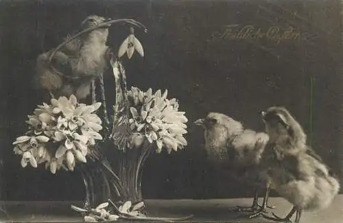 Easter greetings postcard 1914 chicken poussins snowdrops
