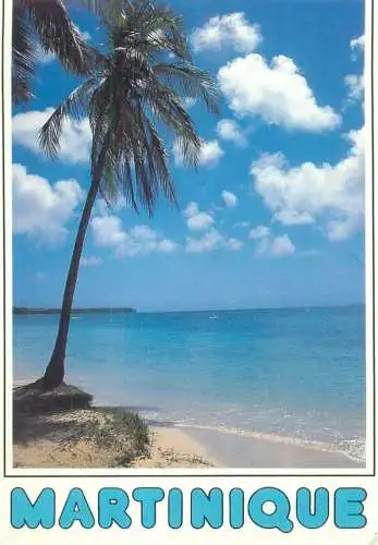 France Martinique Plage de Ste-Anne