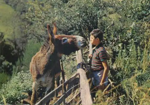 Animals and children types funny comic photo Lou Poutou de l'ase