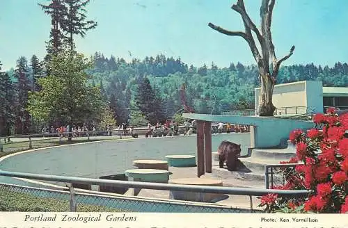 USA Portland OR Zoological Gardens bear