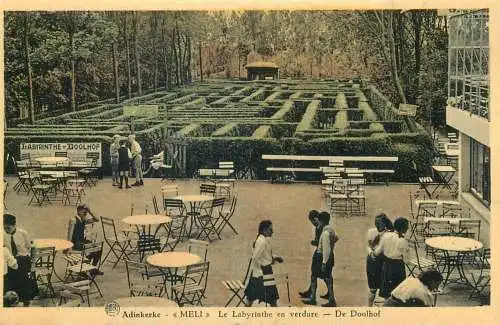 Postcard Belgium Adinkerke Meli le labyrinthe en verdure De Doolhof