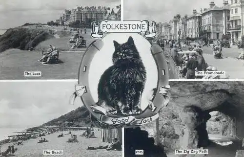 Postcard United Kingdom England Folkestone multi view cat