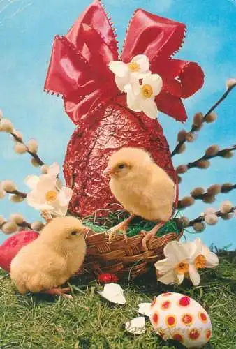 Postcard greetings card holidays Easter celebration Germany chickens and painted eggs