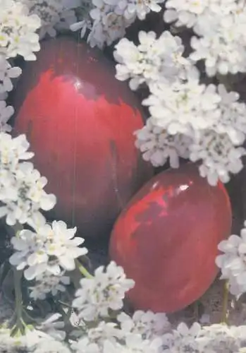 Postcard greetings card holidays Easter celebration Hungary painted eggs