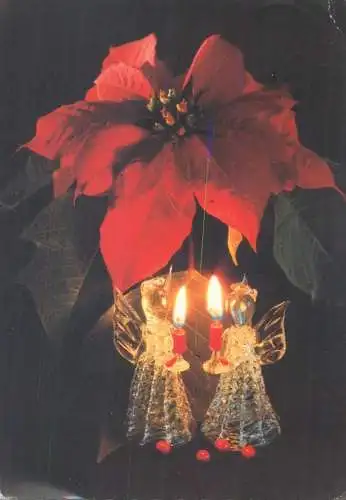 Postcard greetings card Christmas and New Year Hungary angels flower
