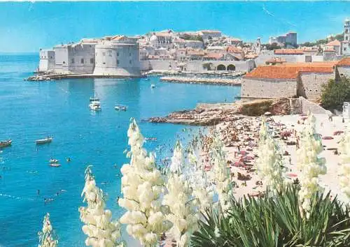 Croatia Dubrovnik
